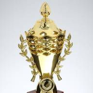 Кубок 184A, зол., подставка пластик, 29 × 14.5 × 9.5 см - Кубок 184A, зол., подставка пластик, 29 × 14.5 × 9.5 см