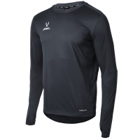 Джемпер тренировочный JÖGEL DIVISION PerFormDRY Pro Training Top, черный