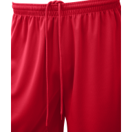 Шорты баскетбольные JOGEL Camp Basic, красный - downloaded from prime-sport.ru