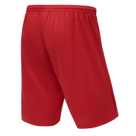 Шорты баскетбольные JOGEL Camp Basic, красный - downloaded from prime-sport.ru