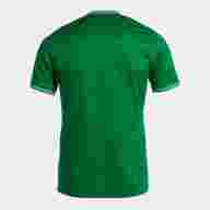 Игровая футболка JOMA TOLETUM V VERDE - Игровая футболка JOMA TOLETUM V VERDE